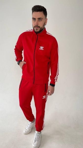 Чоловічий спортивний костюм Adidas трикотажний 217 фото