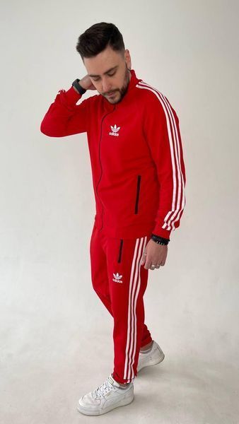 Чоловічий спортивний костюм Adidas трикотажний 217 фото