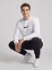 Чоловічий спортивний костюм Nike білого кольору демісезонний трикотажний комплект норма базовий брендовий набір кофта та штани 446 фото 4